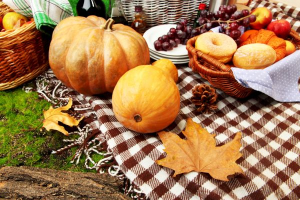 The image shows a picnic spread on a checkered blanket with pumpkins, bread, grapes, apples, and a pine cone, surrounded by fall leaves and baskets.