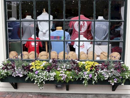 A shop window display with mannequins in clothing, colorful T-shirts, and a bright flower box below.