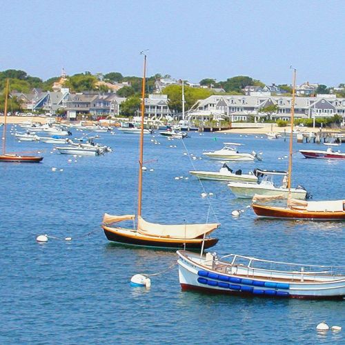 A serene harbor scene with small boats floating on calm water, surrounded by a quaint seaside village and distant trees.