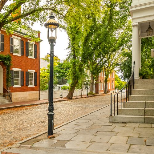 A quiet cobblestone walkway between brick and white buildings, shaded by lush green trees and a classic streetlamp, on a sunny day.