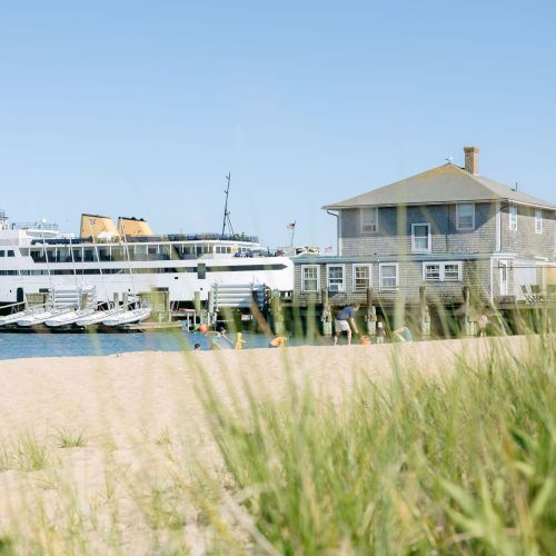 A passenger ship is docked by a sandy waterfront, with a seaside house and grasses in the foreground under clear skies.