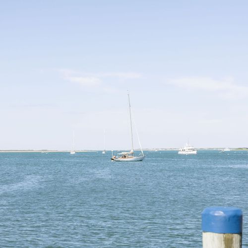 Sailboats and yachts float on calm green-blue water under a pale blue sky, with moored ships on the horizon.