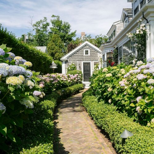 A sunny garden path lined with blooming hydrangeas leads to a charming house with flowering window boxes and lush greenery.