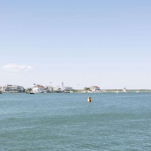 A calm marina harbor with sailboats and waterfront houses under a clear blue sky.