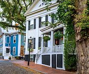 Colorful row houses along a cobblestone street with hanging plants and a large tree in the foreground, quaint neighborhood charm.