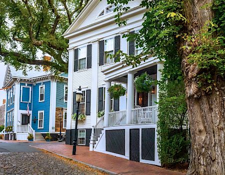 Colorful row houses along a cobblestone street with hanging plants and a large tree in the foreground, quaint neighborhood charm.