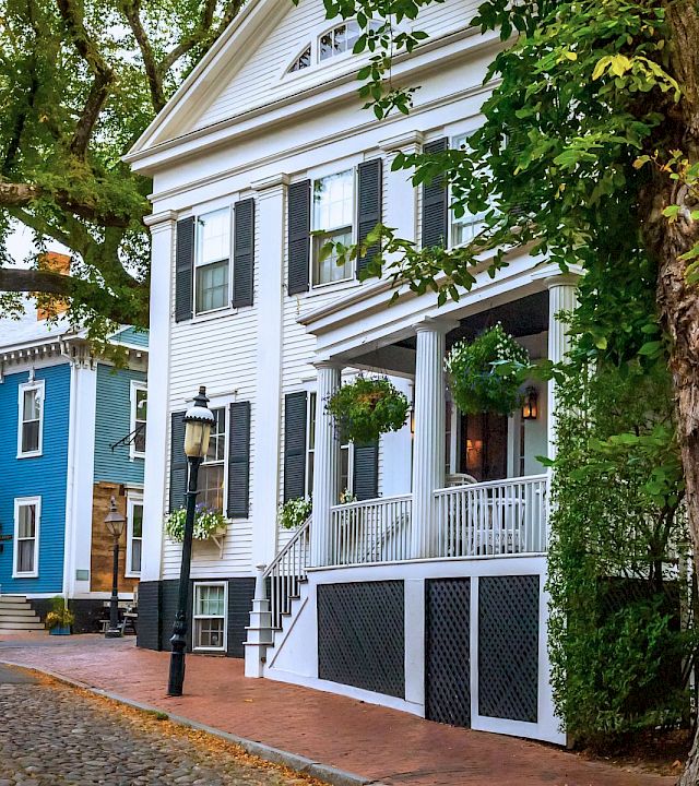 Colorful row houses along a cobblestone street with hanging plants and a large tree in the foreground, quaint neighborhood charm.
