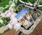 A wicker bicycle basket holds pink and white peonies alongside a book with “Five-Star” on the cover in a garden courtyard.